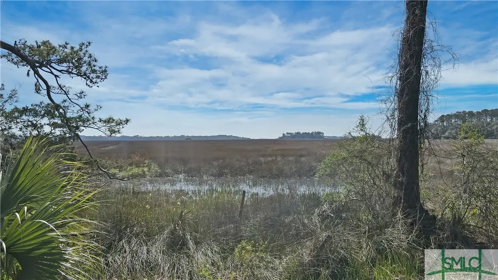 14009 Ga 99 Highway Darien GA 31305