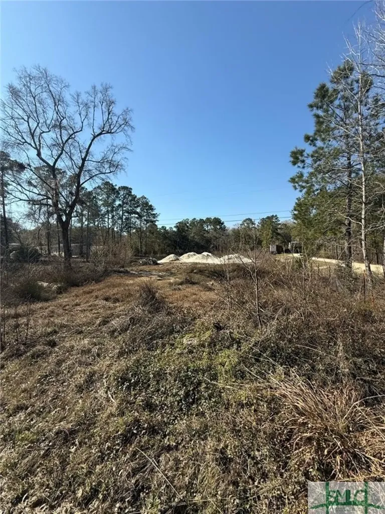 145 Middle Landing Road Bloomingdale GA 31302