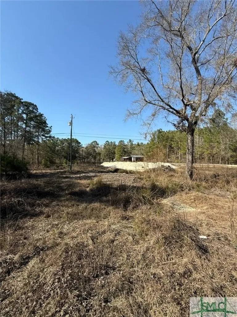 145 Middle Landing Road Bloomingdale GA 31302