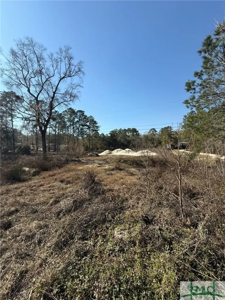 145 Middle Landing Road Bloomingdale GA 31302