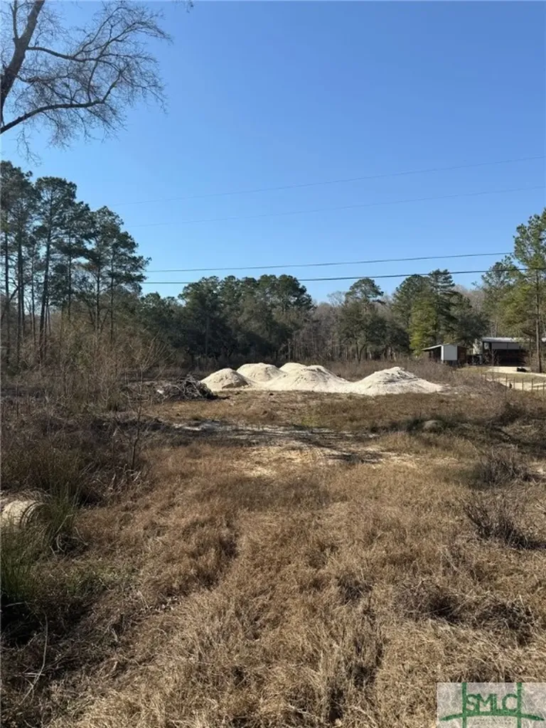 145 Middle Landing Road Bloomingdale GA 31302