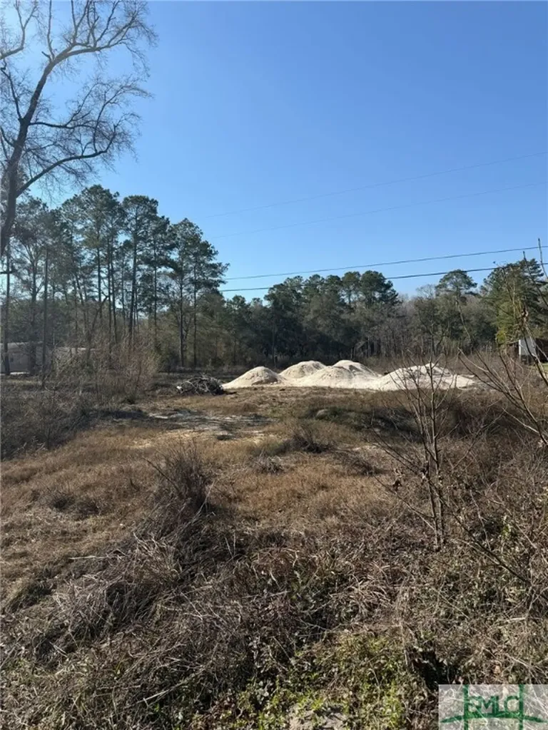 145 Middle Landing Road Bloomingdale GA 31302