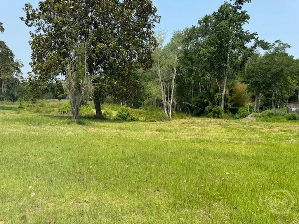 0 Us Highway 17 Highway Townsend GA 31331