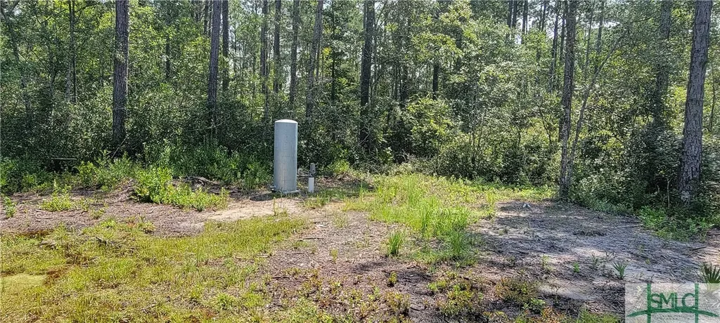 1367 Low Ground Road Guyton GA 31312