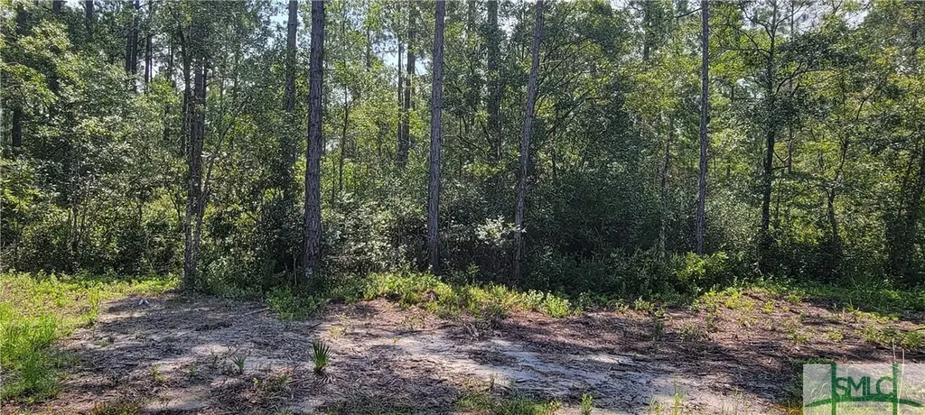 1367 Low Ground Road Guyton GA 31312
