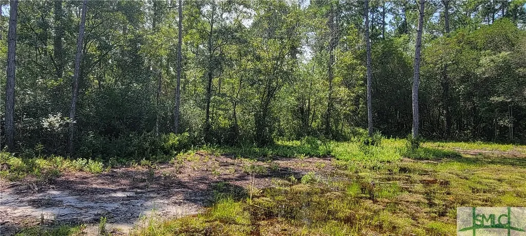 1367 Low Ground Road Guyton GA 31312