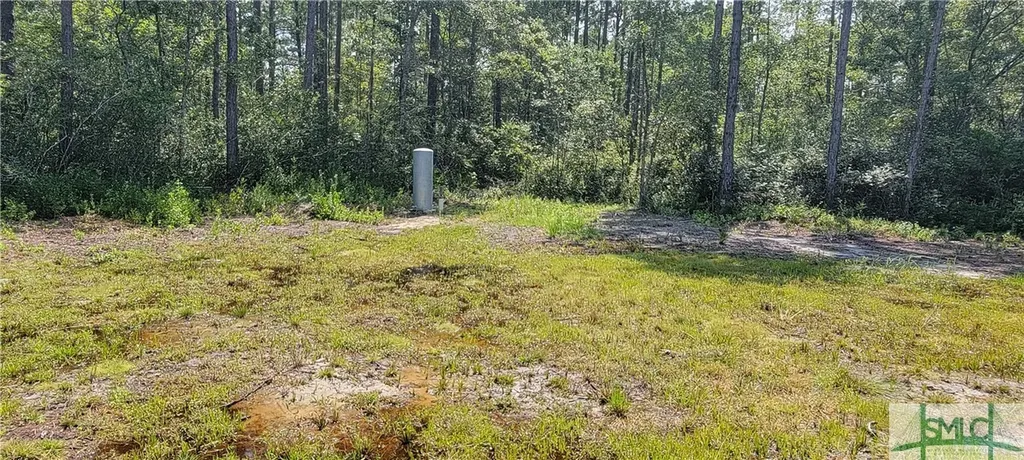 1367 Low Ground Road Guyton GA 31312
