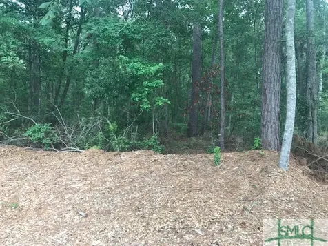 Tbd Lost Oak Drive Bluffton SC 29910