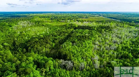 Tbd Dunham Williams Road Hardeeville SC 29927