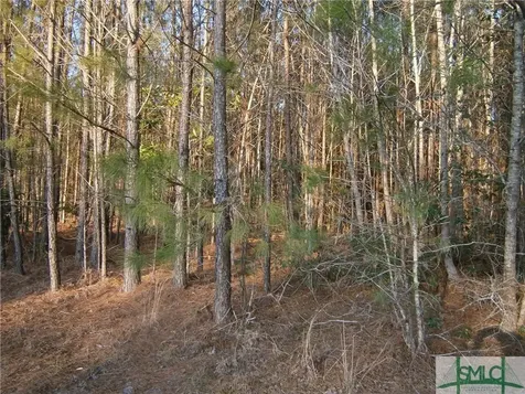 Tbd Dunham Williams Road Hardeeville SC 29927