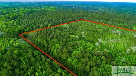 Tbd Dunham Williams Road Hardeeville SC 29927