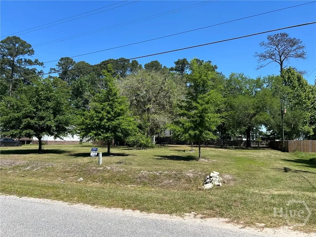 3 Carlyene Drive Midway GA 31320