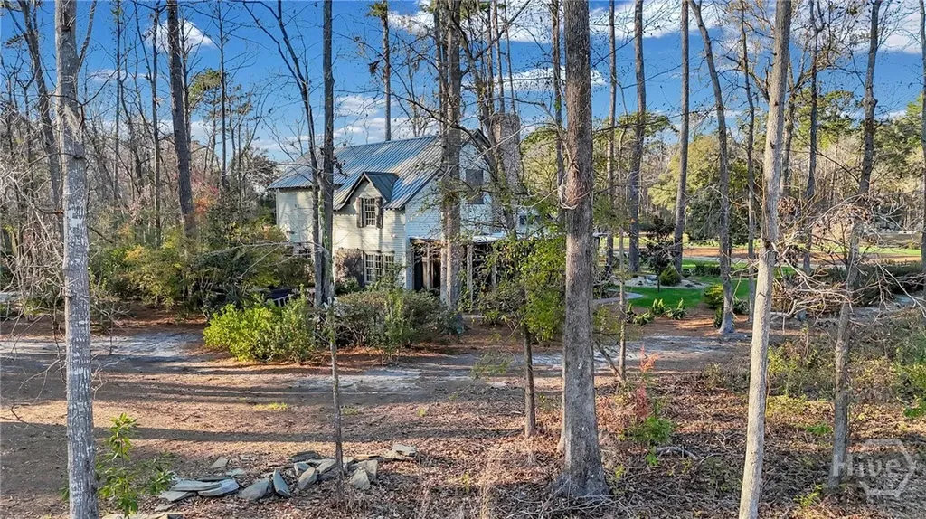469 Dublin Drive Richmond Hill GA 31324