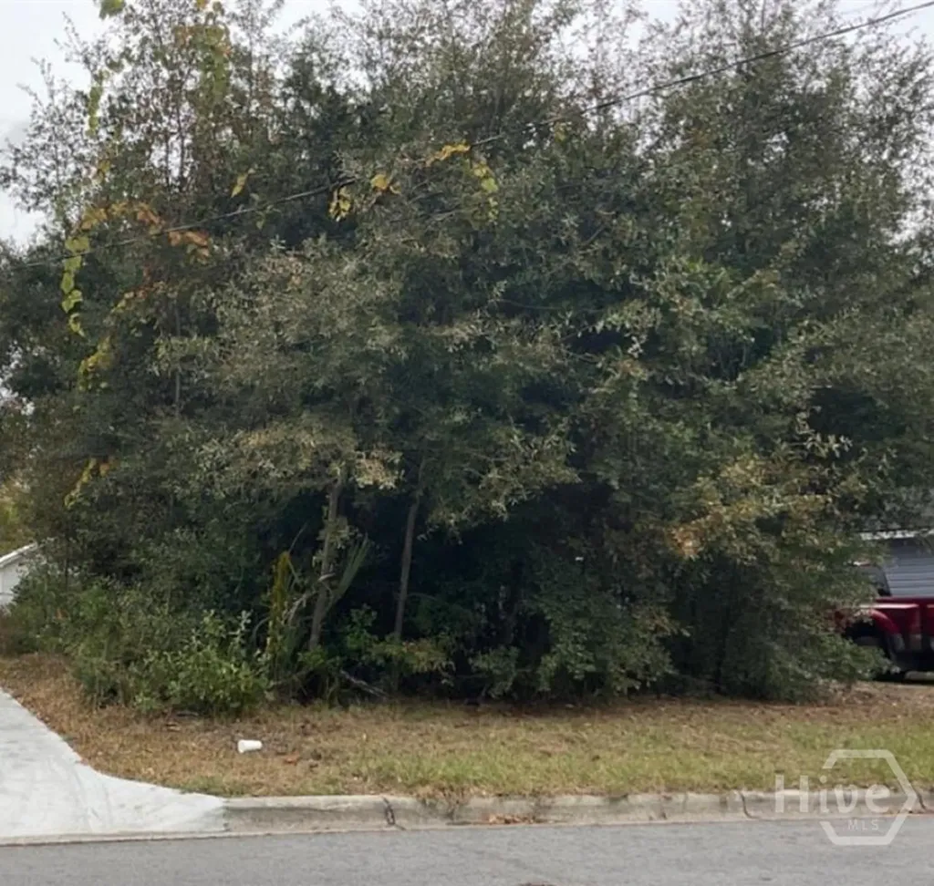 0 Dixon Street Savannah GA 31405