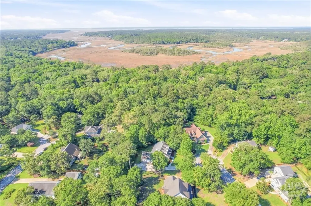 37 Macbeth Court S Richmond Hill GA 31324