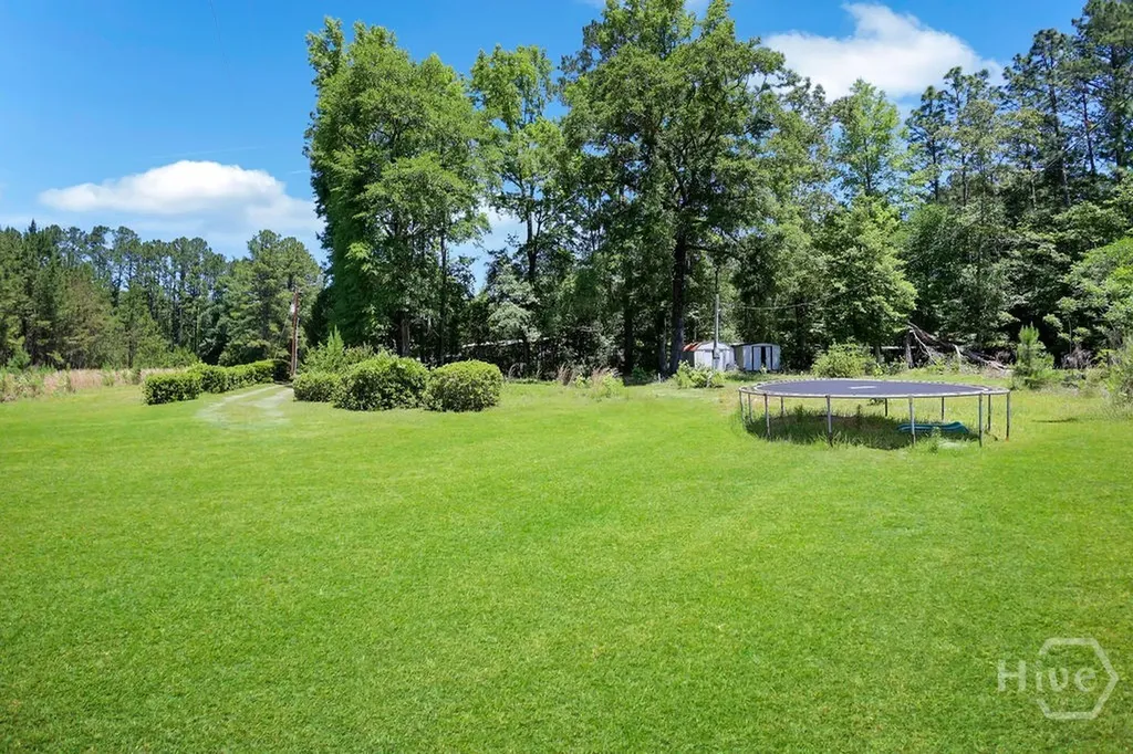 443 Reiser Road Springfield GA 31329