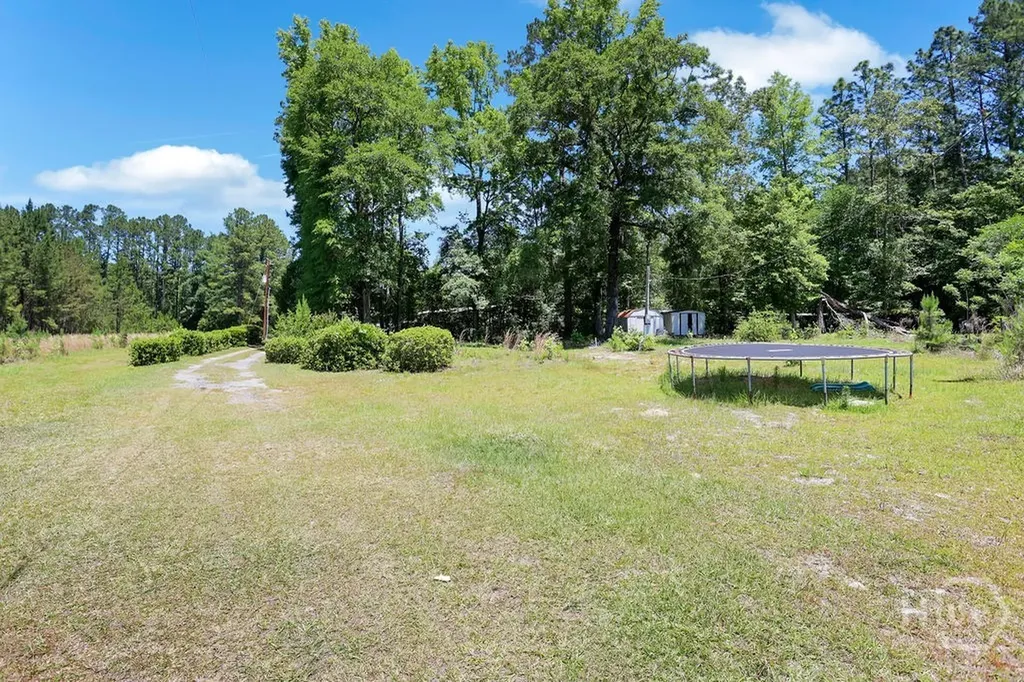 443 Reiser Road Springfield GA 31329