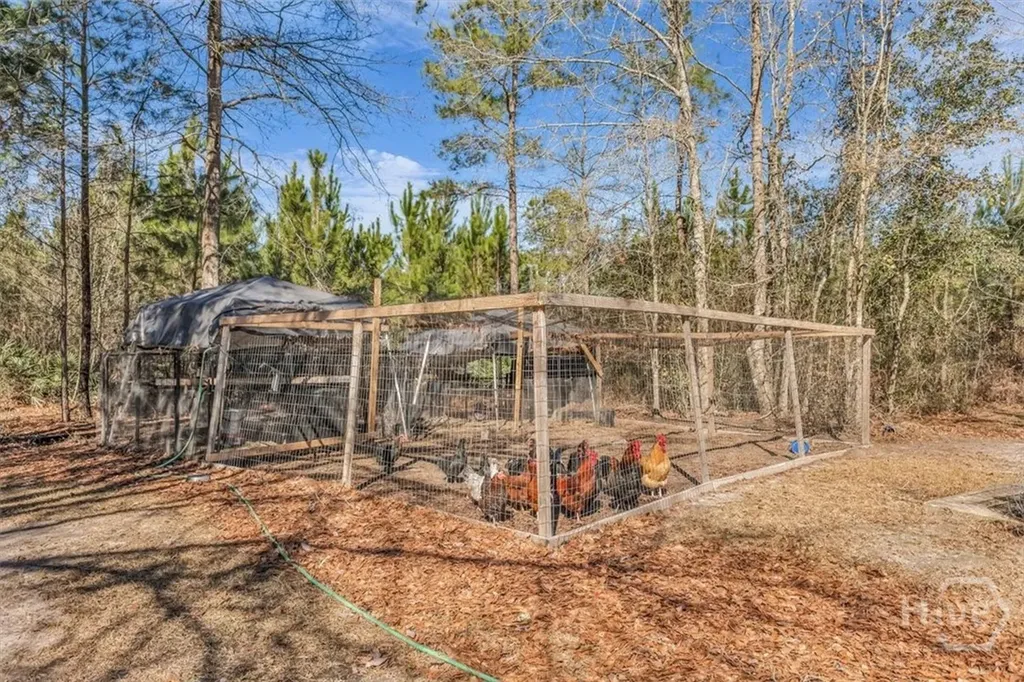 128 William Smith Lane NE Ludowici GA 31316