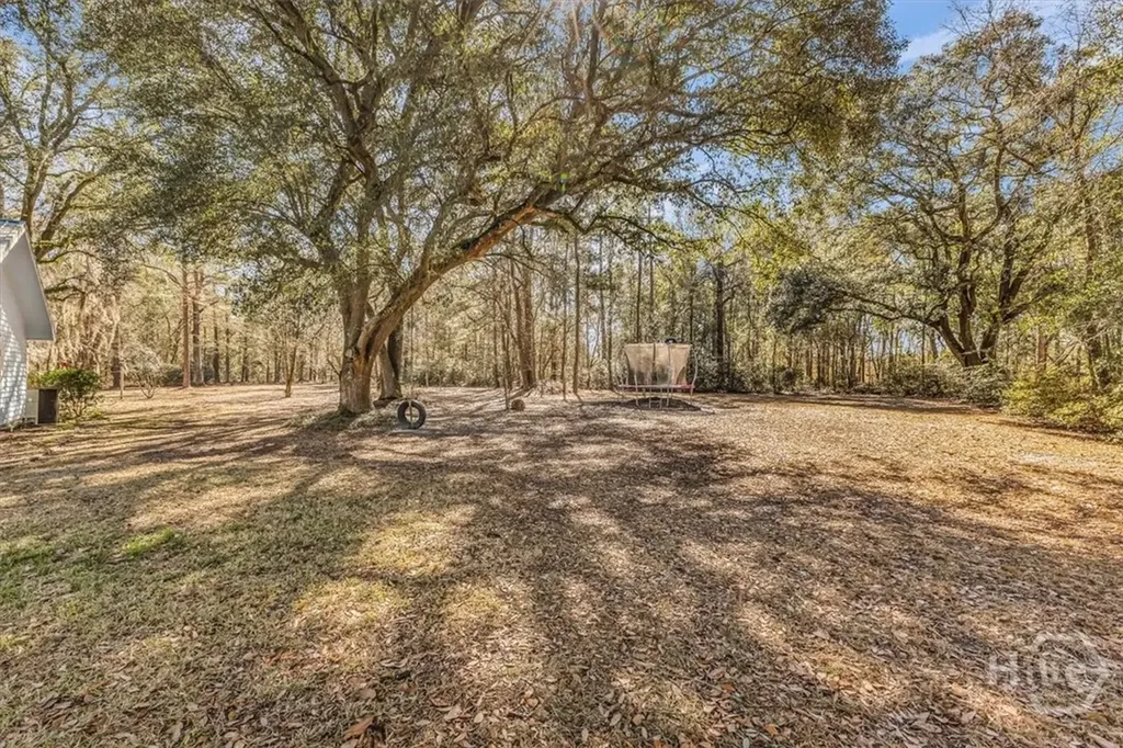 128 William Smith Lane NE Ludowici GA 31316