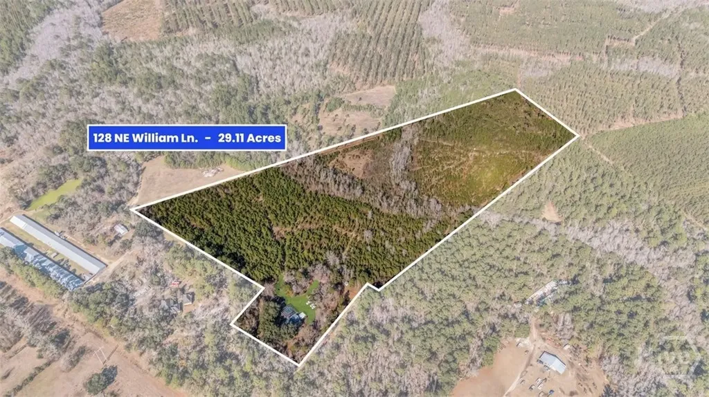 128 William Smith Lane NE Ludowici GA 31316