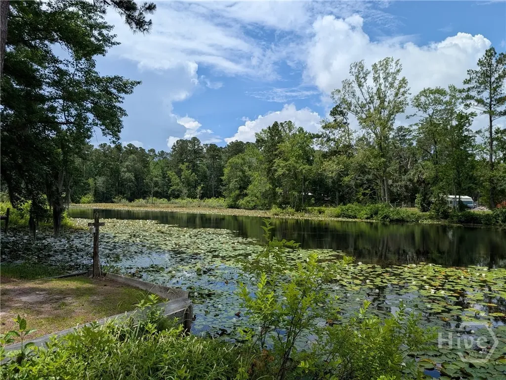 642 Island Drive Midway GA 31320