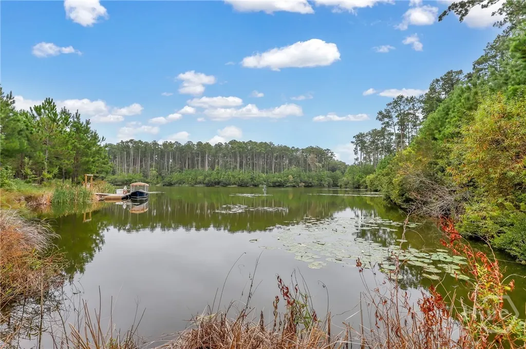 97 Higginson Drive Richmond Hill GA 31324