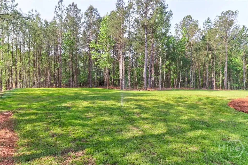 100 Roberts Road Springfield GA 31329