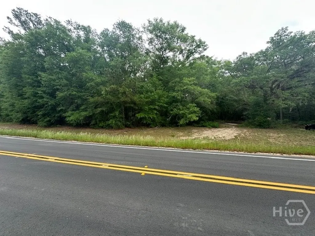 0 Old Louisville Road Guyton GA 31312