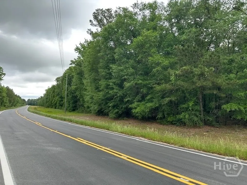 0 Old Louisville Road Guyton GA 31312
