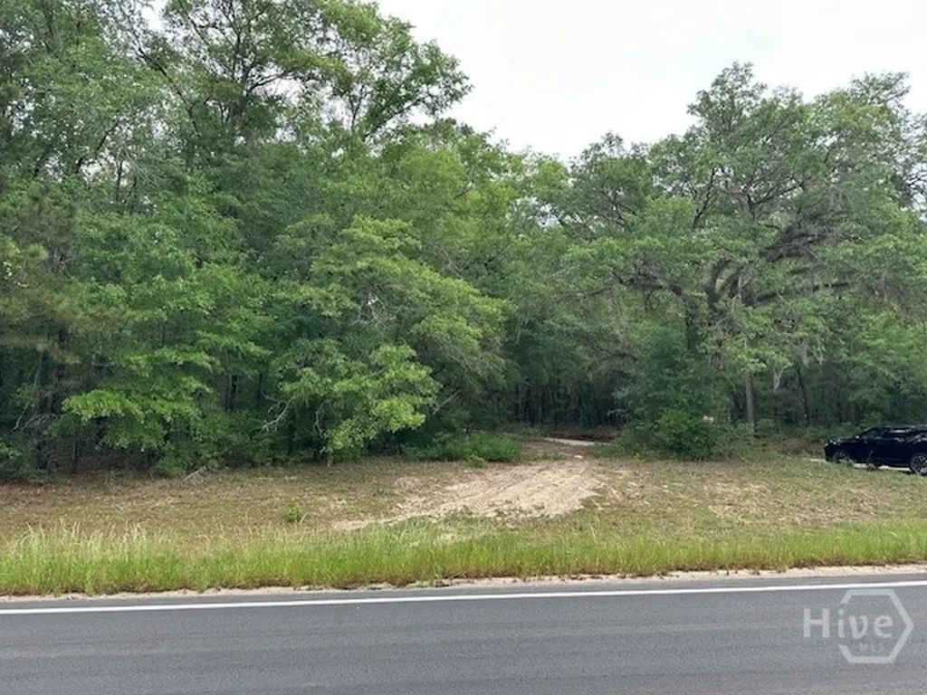 0 Old Louisville Road Guyton GA 31312