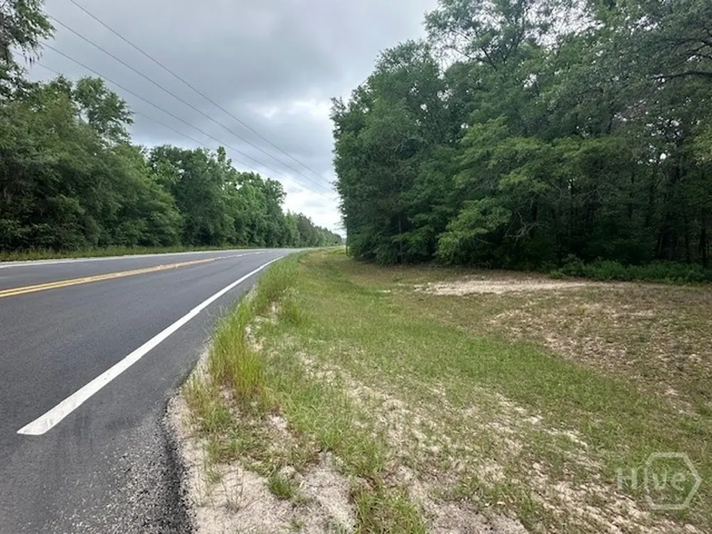 0 Old Louisville Road Guyton GA 31312