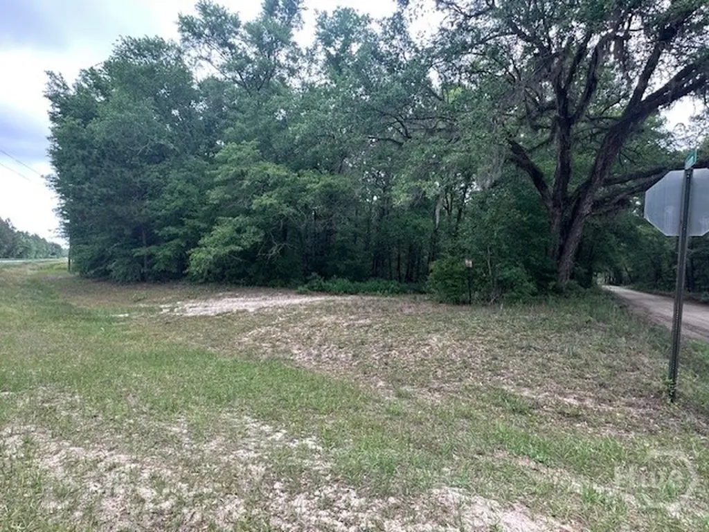 0 Old Louisville Road Guyton GA 31312