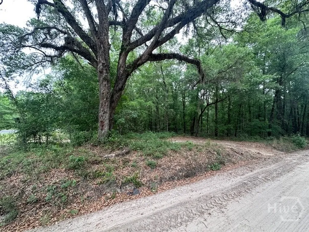 0 Old Louisville Road Guyton GA 31312