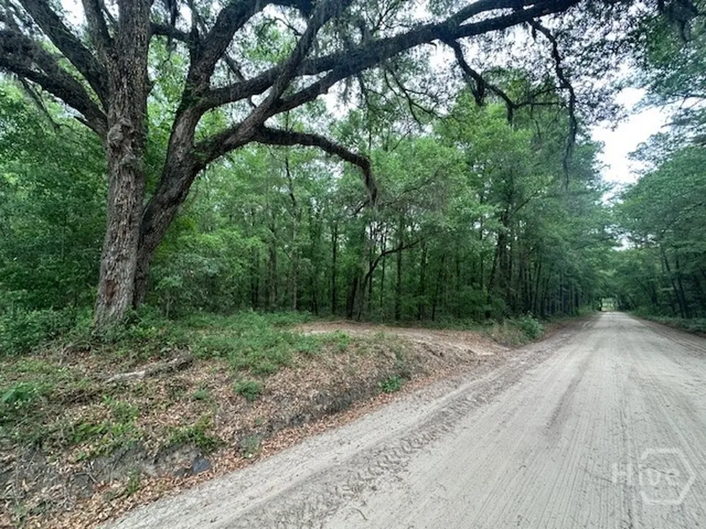 0 Old Louisville Road Guyton GA 31312