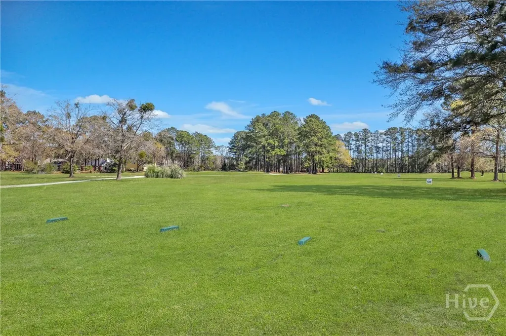 815 Marshview Drive Richmond Hill GA 31324