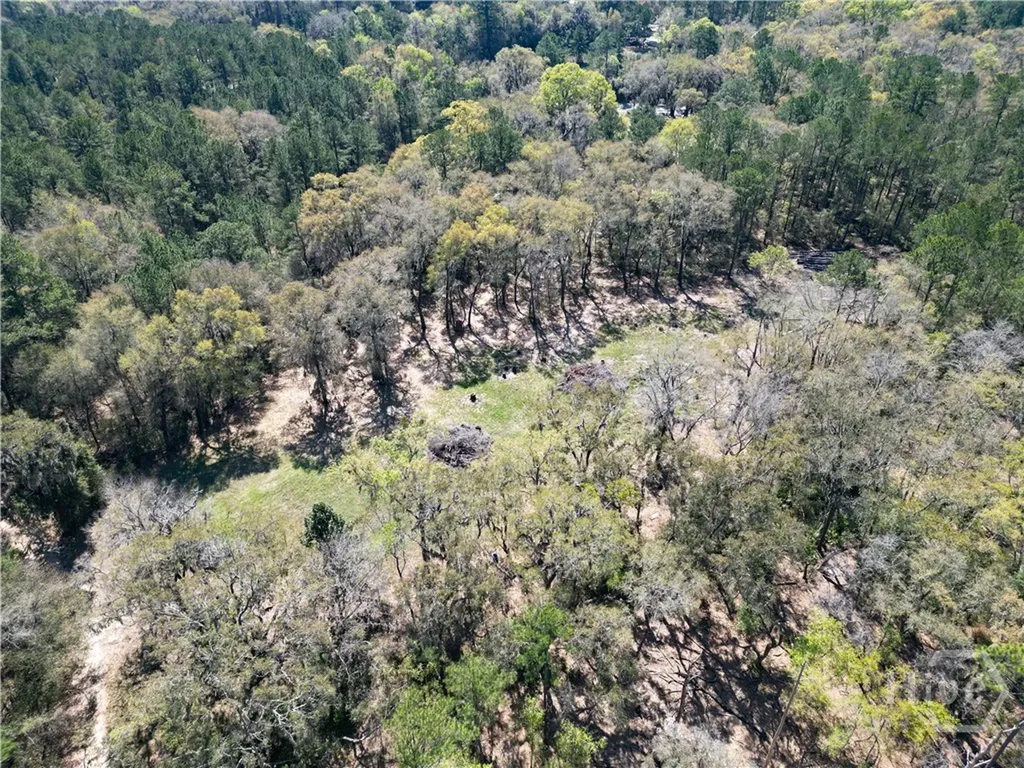 2.33 Ac Polite Lane Midway GA 31320