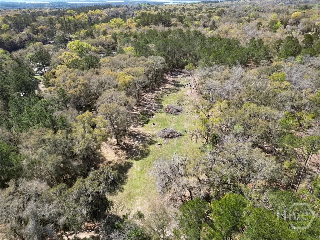 2.33 Ac Polite Lane Midway GA 31320