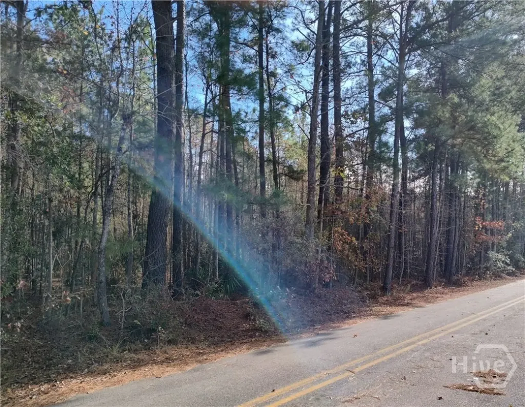 620 Morgan Street Pooler GA 31322