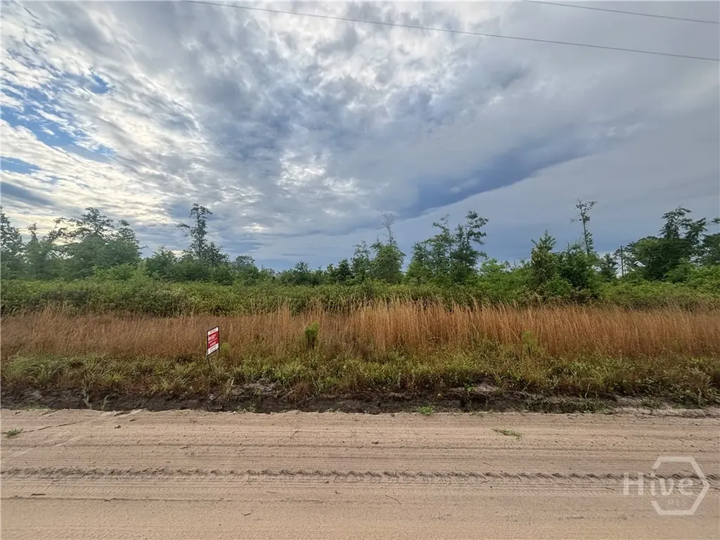 0 Riggs Lane Claxton GA 30417