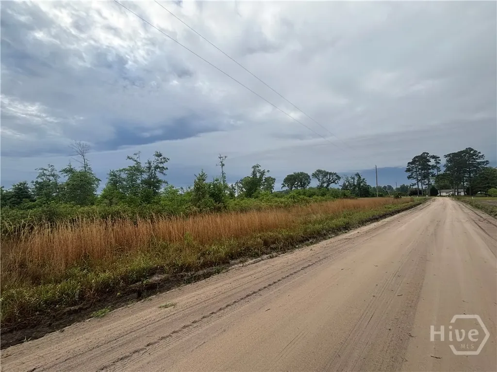 0 Riggs Lane Claxton GA 30417