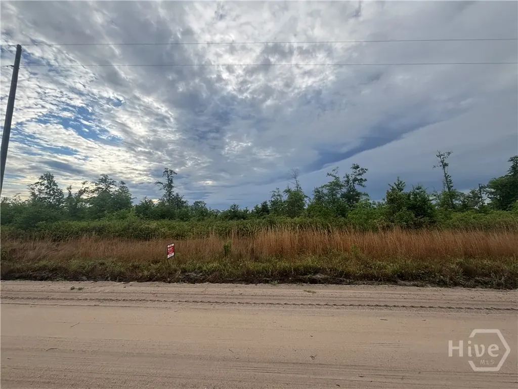 0 Riggs Lane Claxton GA 30417