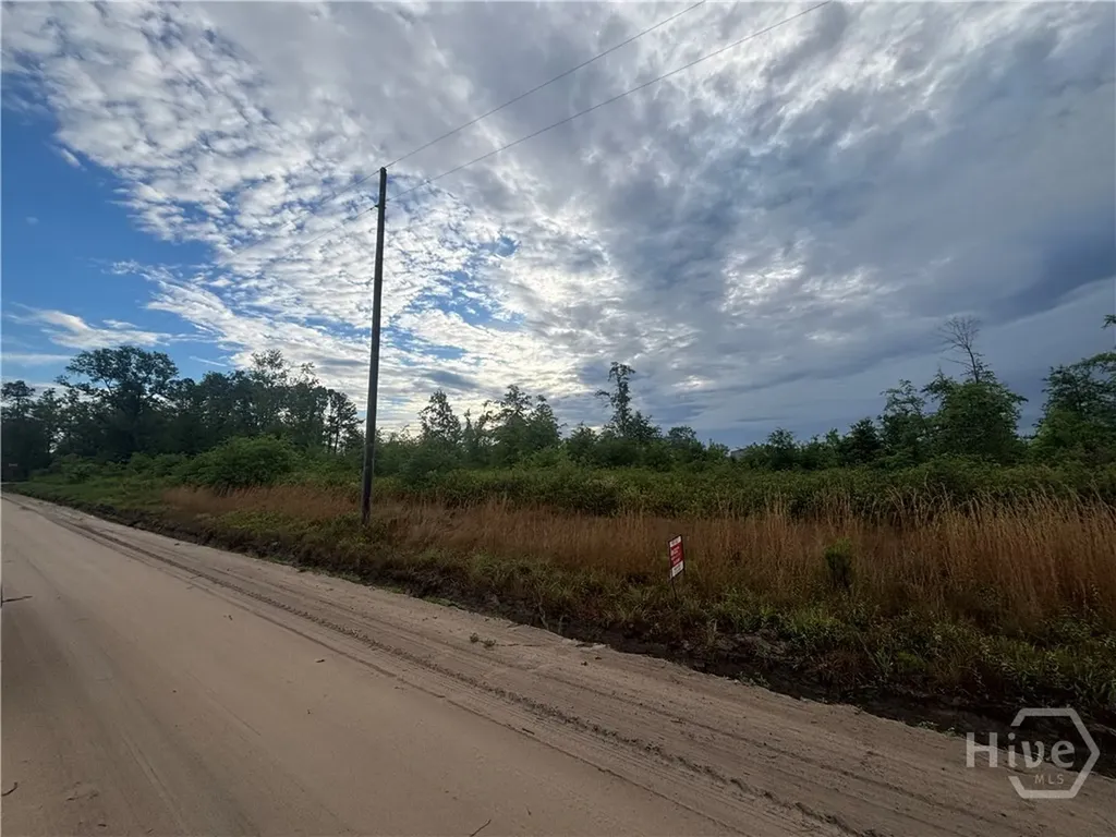 0 Riggs Lane Claxton GA 30417