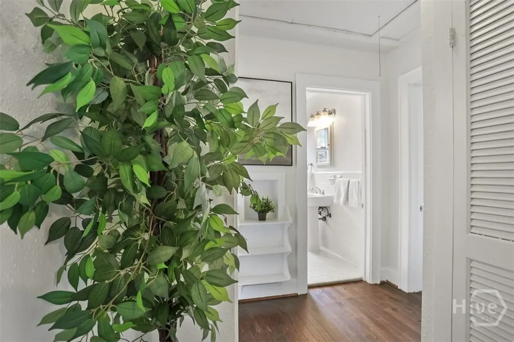 412 E 62nd Street Savannah GA 31405