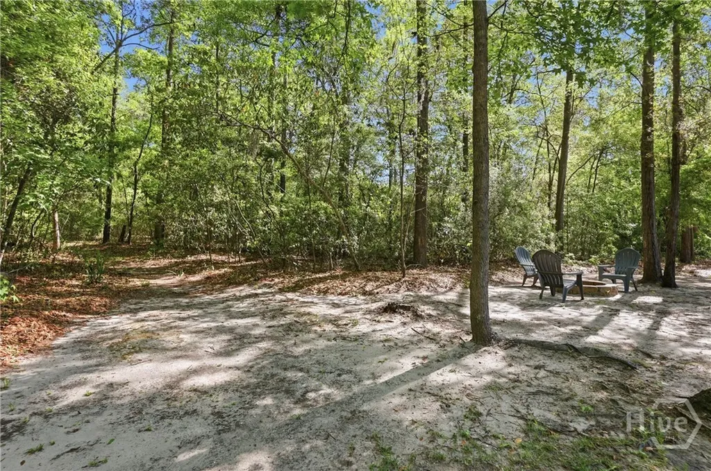 440 Ridgewood Park Drive S Richmond Hill GA 31324
