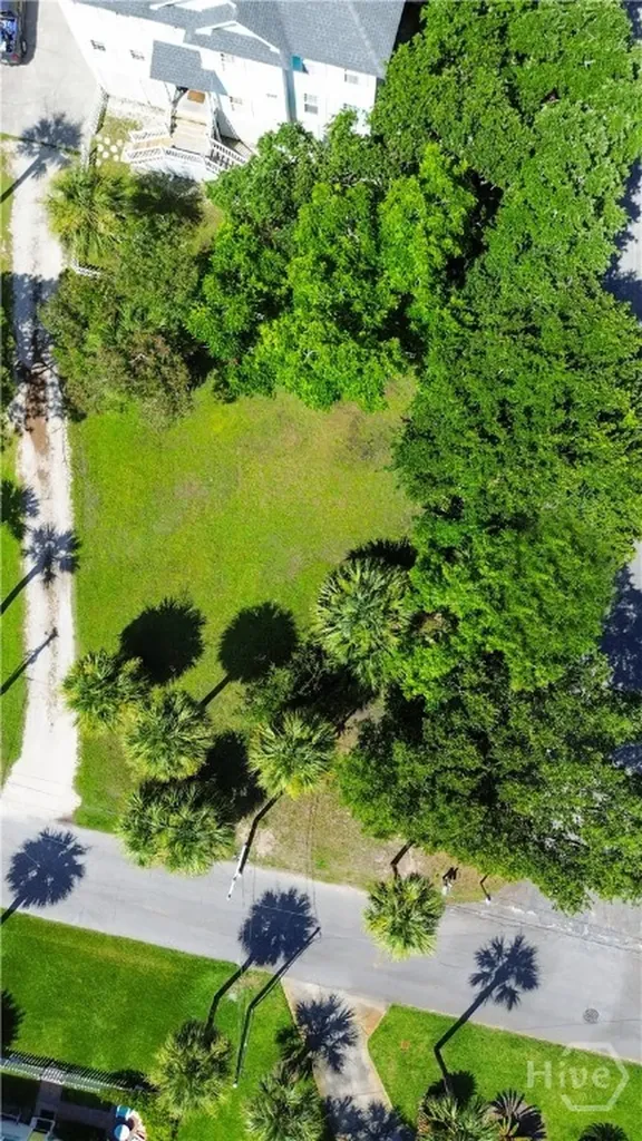 0 Chatham Avenue Tybee Island GA 31328