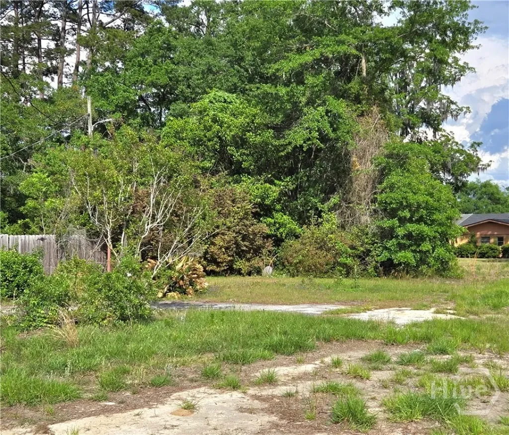 4415 Us Highway 80 E Ellabell GA 31308