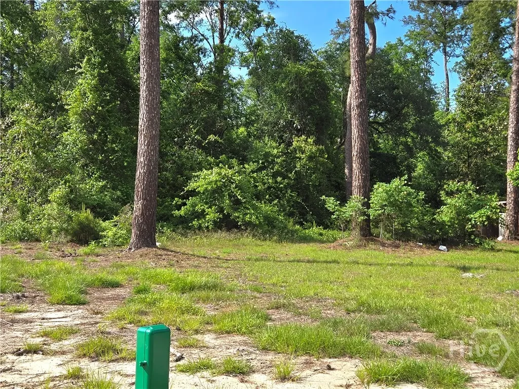 4415 Us Highway 80 E Ellabell GA 31308