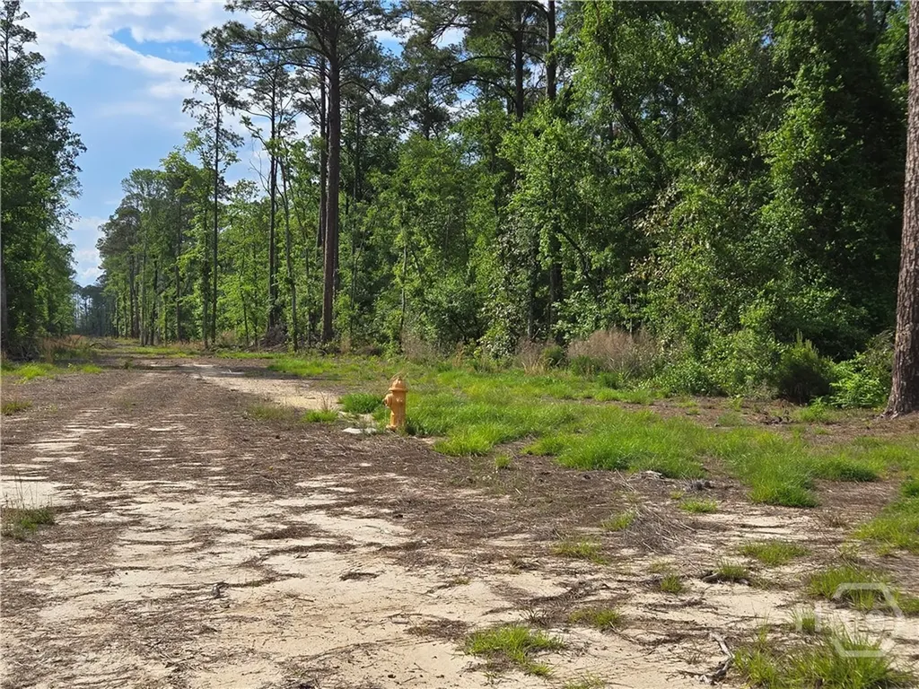 4415 Us Highway 80 E Ellabell GA 31308