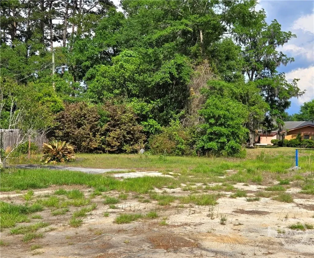 4415 Us Highway 80 E Ellabell GA 31308