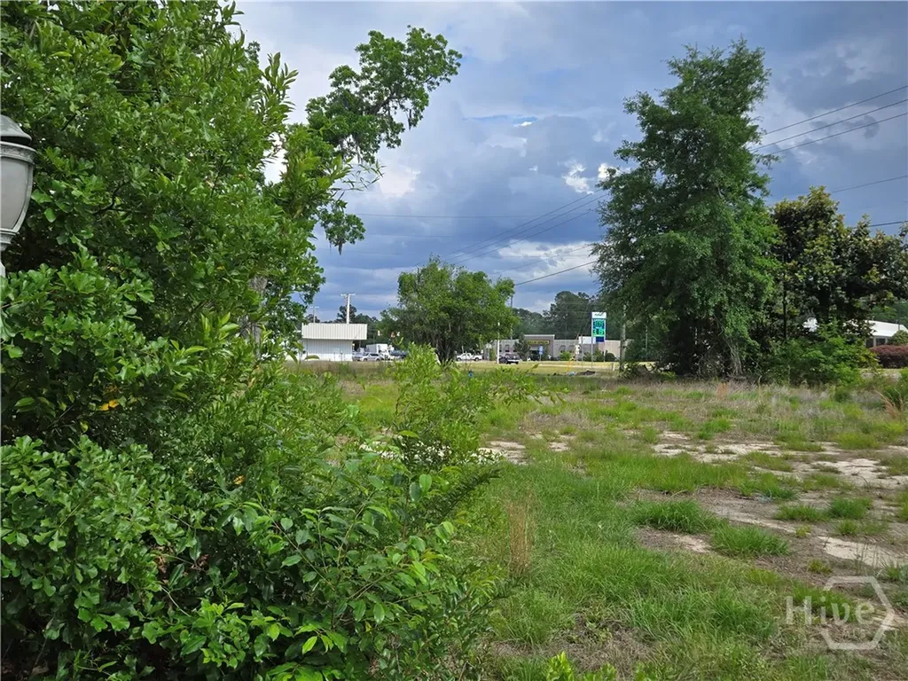 4415 Us Highway 80 E Ellabell GA 31308